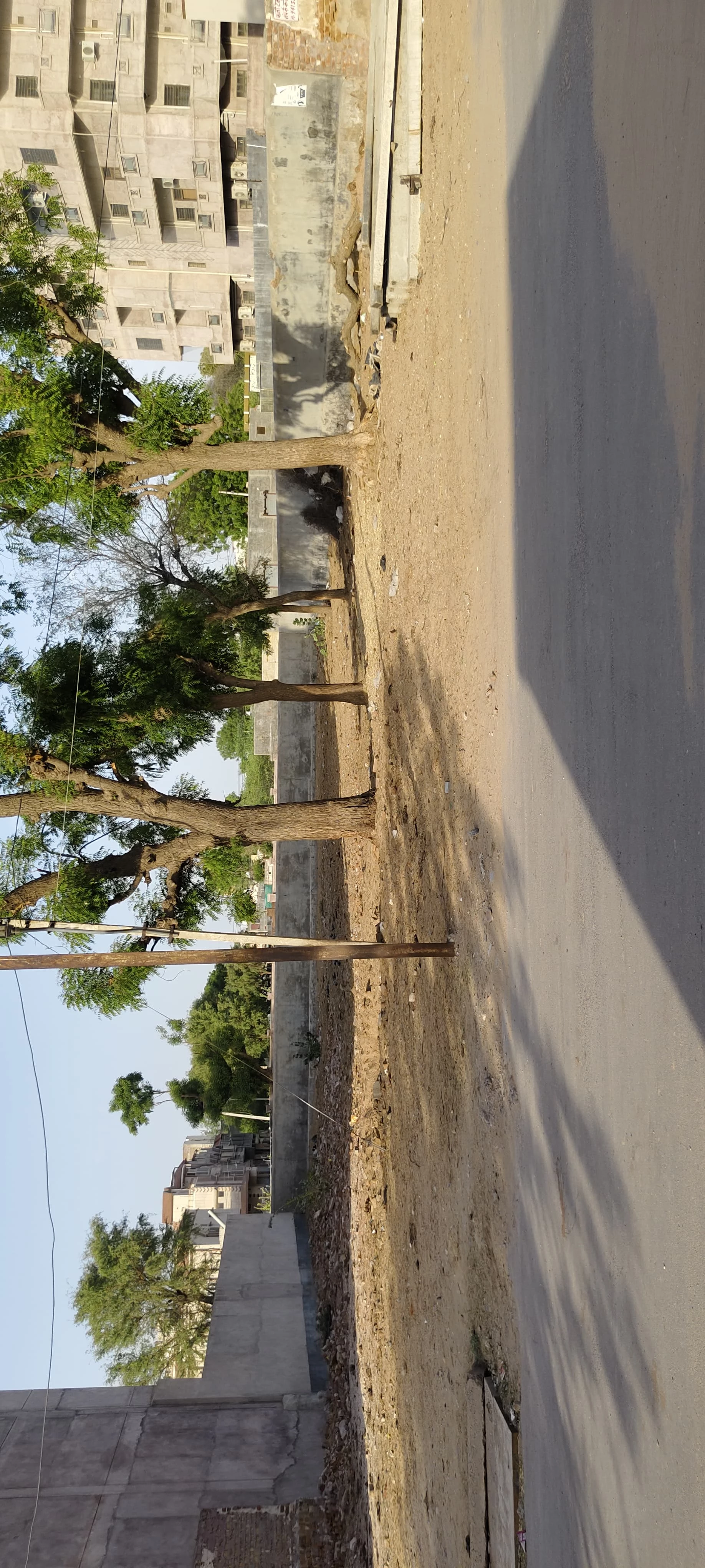 80×100 Plots Nokha