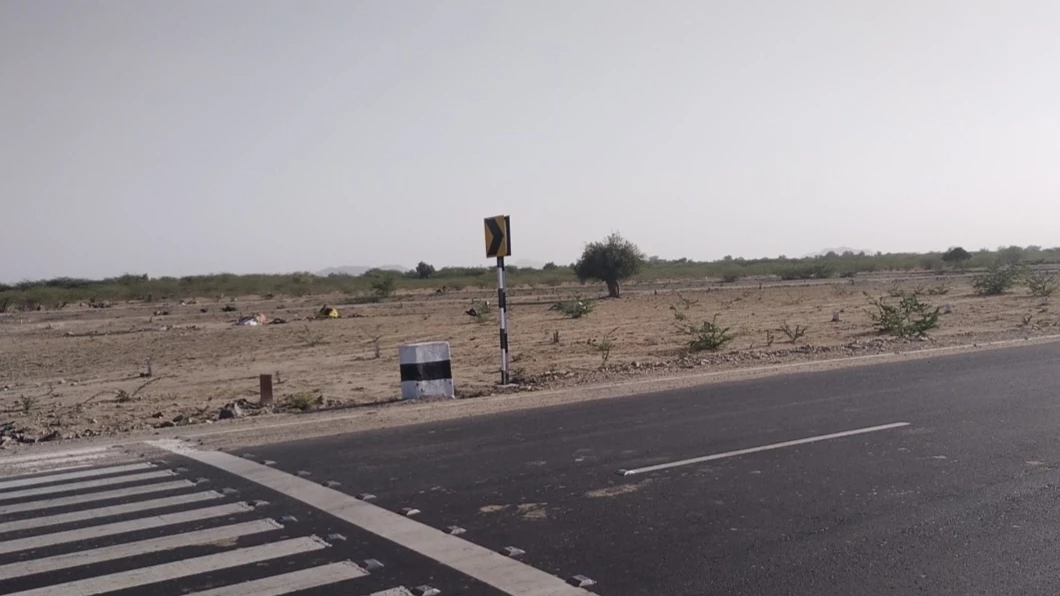 24 bigha plotting land for sale near pali