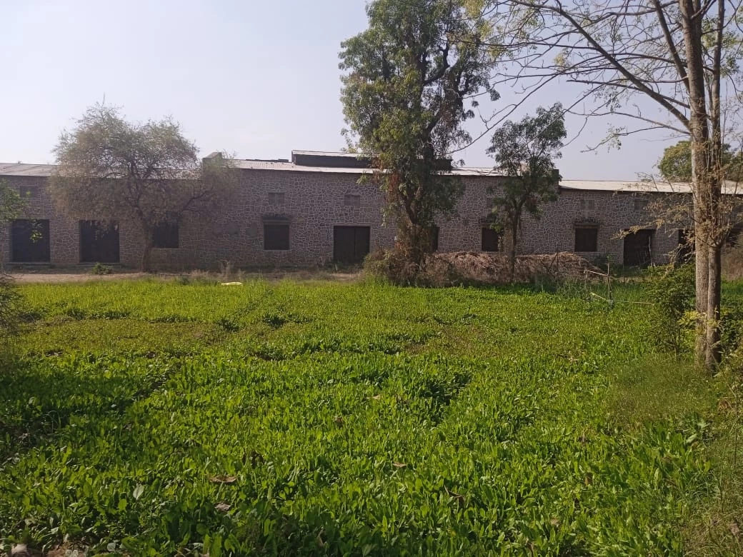Mateshwari  Farm