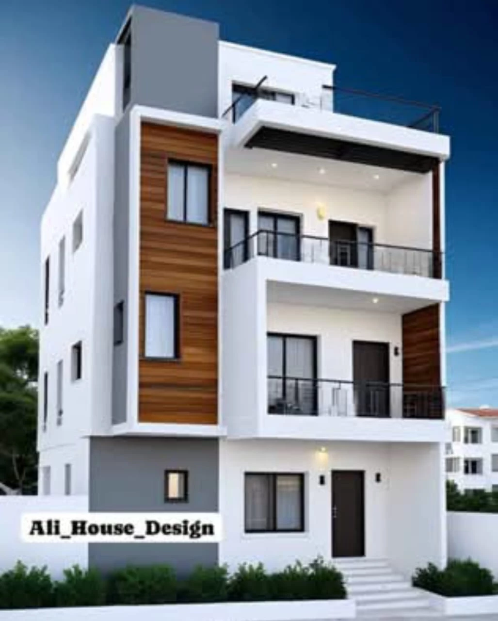 Ali House Design