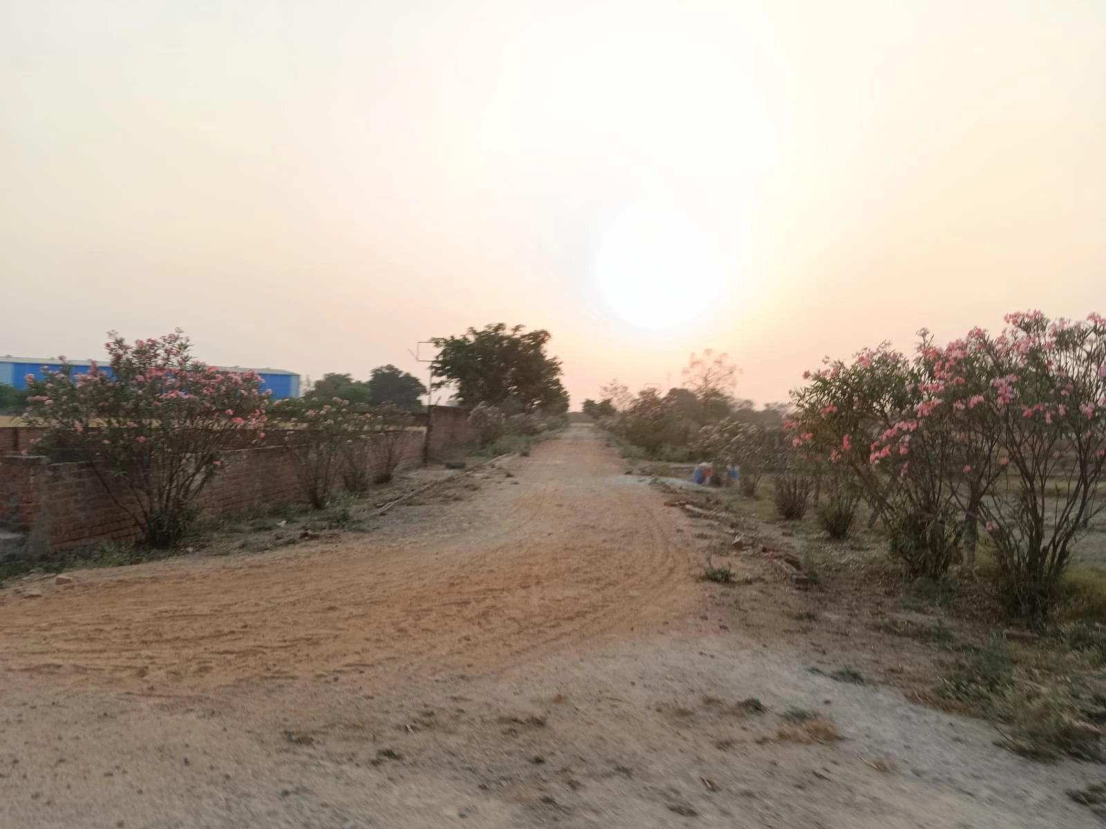 HSVP Property