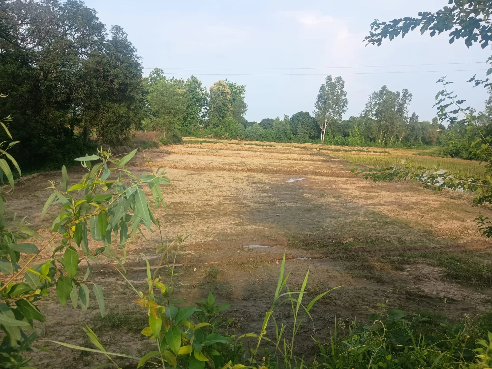 Kunwar Property