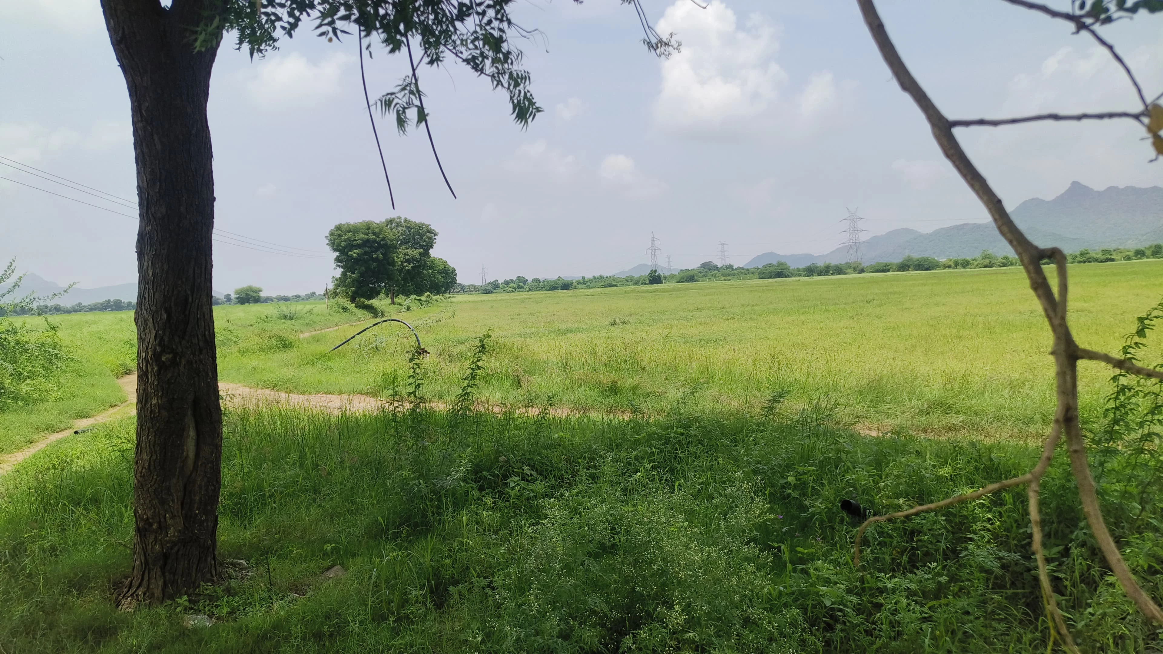 Durshavat Properties Developers Sirohi