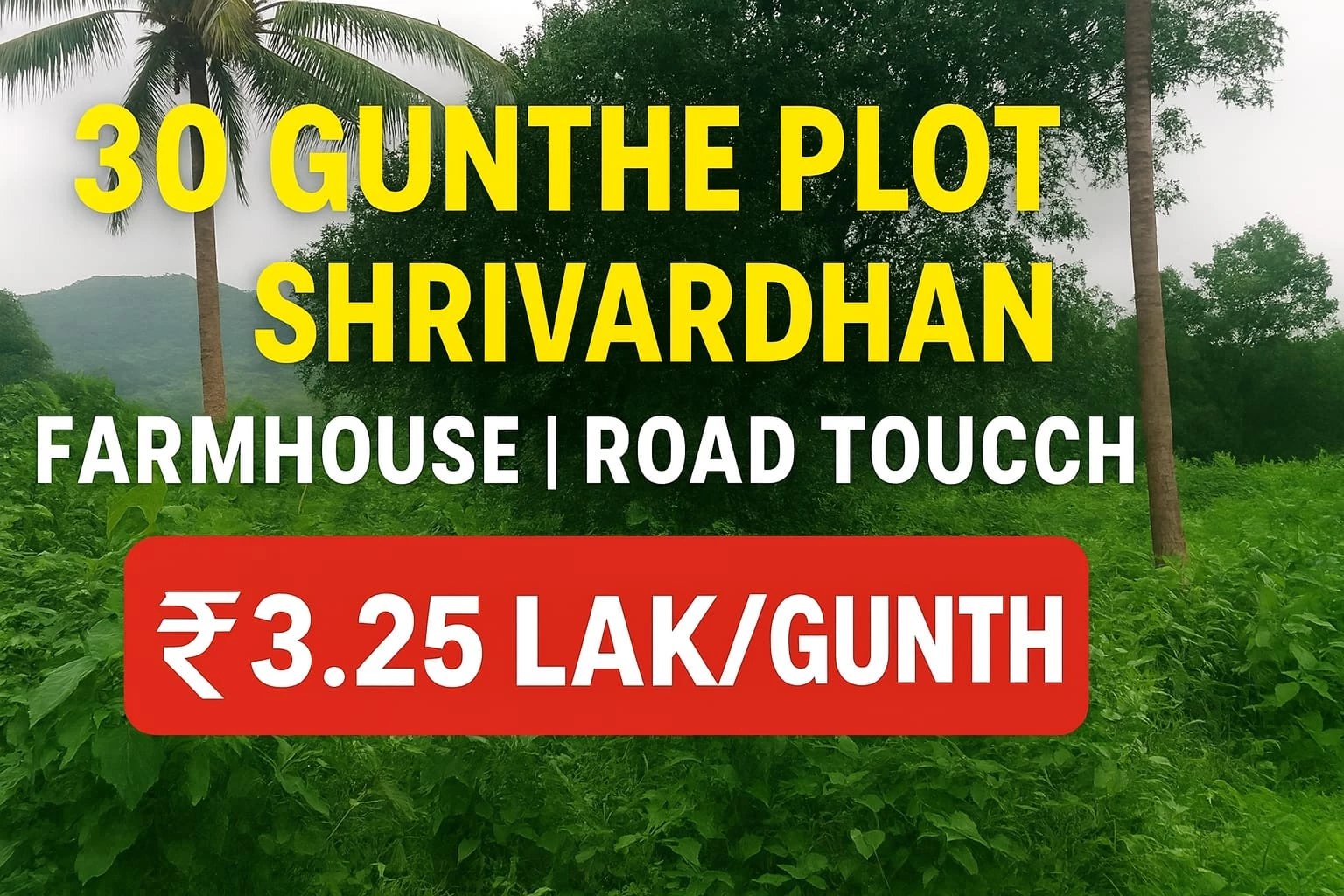 30 Gunthe Farmhouse Plot for Sale in Shrivardhan | Road Touch | Coconut Trees | Best Investment