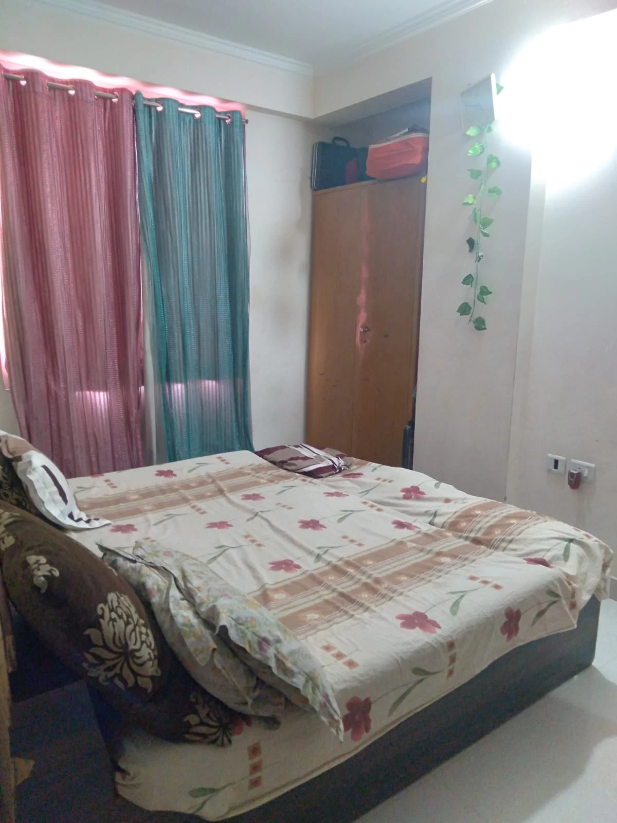 shankera residencey