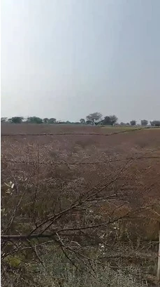 Plot in Jaipur